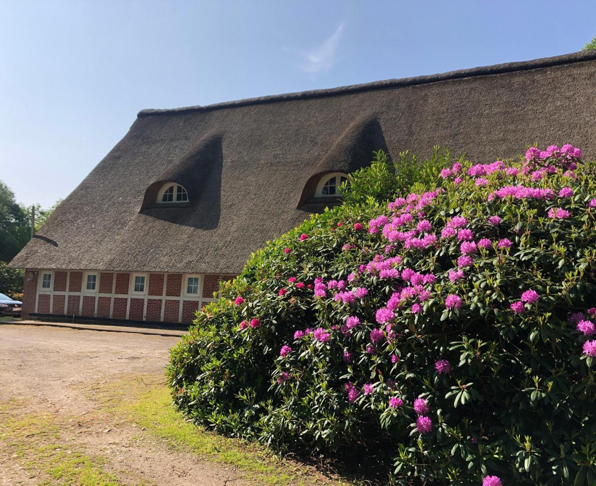 Ferienwohnungen Unter den Eichen Stade Exterior foto